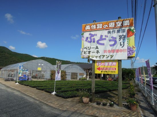 🍓 미마사카 농원(미마사카노엔) 이미지 7